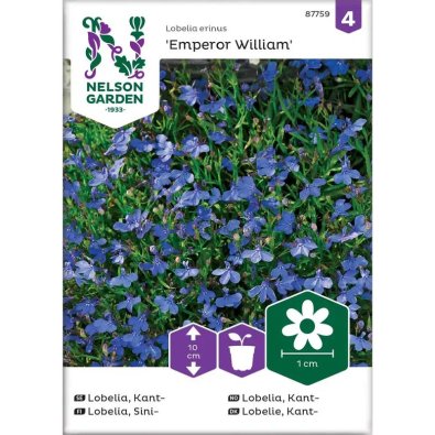 Kantlobelia 'Emperor William'