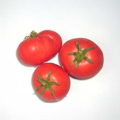 Tomat 'Harzfeuer'