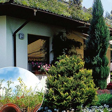 Tagblomstblanding