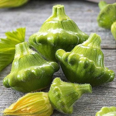 Tallerkensquash 'Okra'