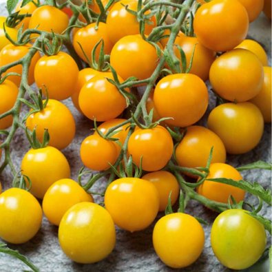 Kirsebærtomat 'Goldkrone'