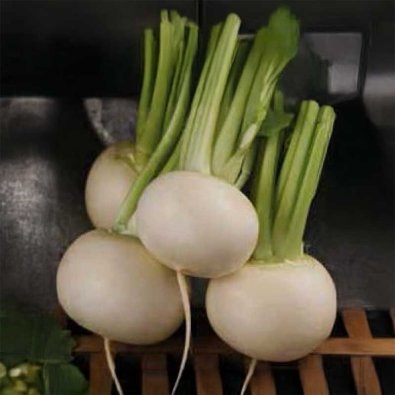 Radise 'Acord'