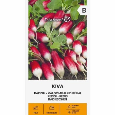 Radise 'Kiva'