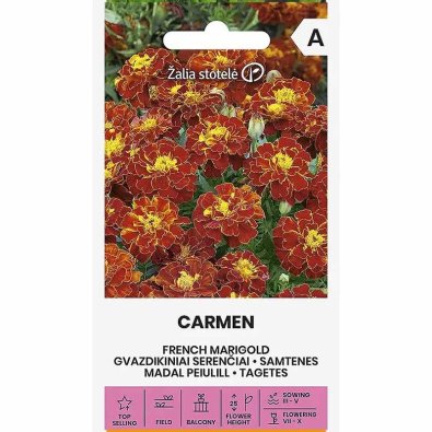 Fløjlsblomst 'Carmen'