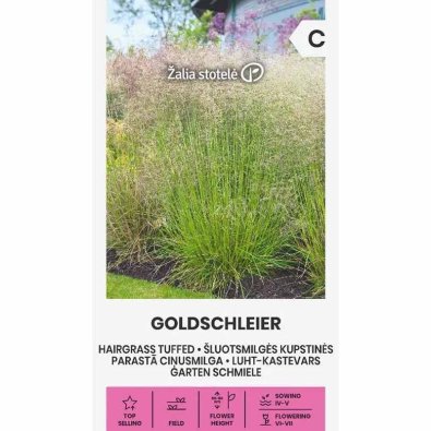 Toprør 'Goldschleier'