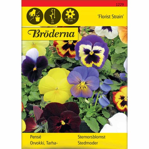Zoom billede af Stedmoderblomst 'Florist Strain' mix