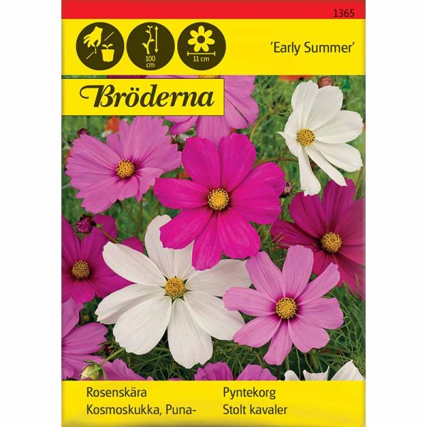 Zoom bilde av Pyntekorg 'Early Summer'