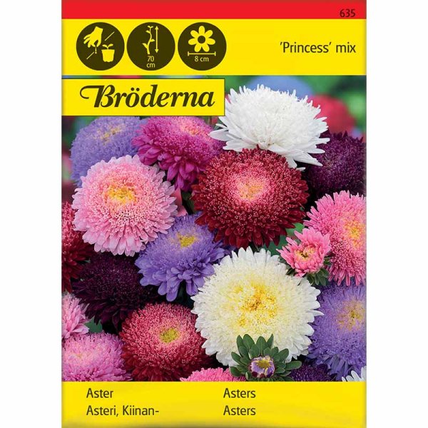 Zoom billede af Asters 'Princess' mix