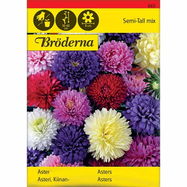 Zoom billede af Dobbelt asters mix Økologisk
