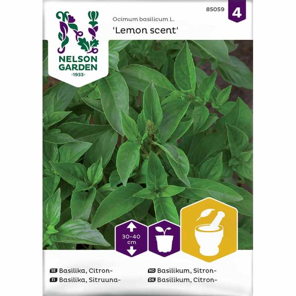 Zoom billede af Citronbasilikum 'Lemon scent'