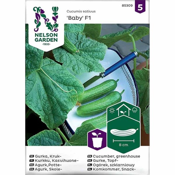 Zoom billede af Potted Cucumber 'Baby' F1