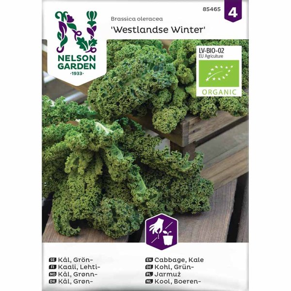 Zoom billede af Grønkål 'Westlandse Winter' Organic