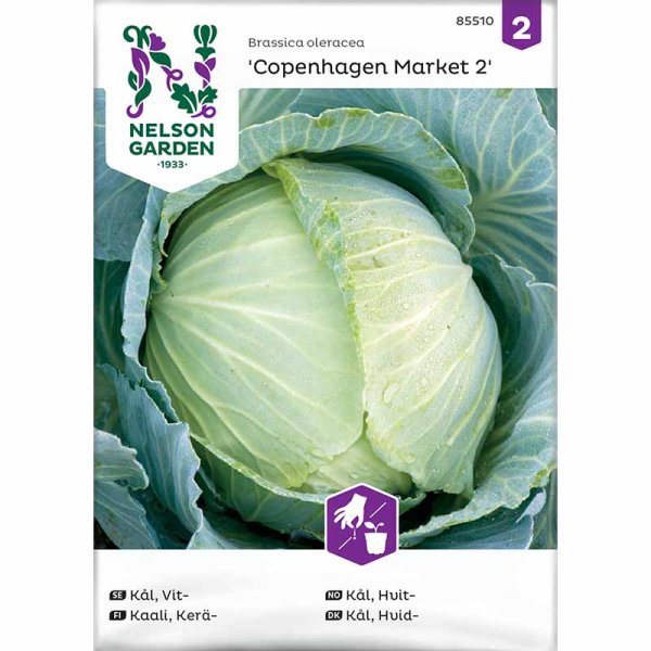 Zoom billede af Hvidkål 'Copenhagen Market 2'