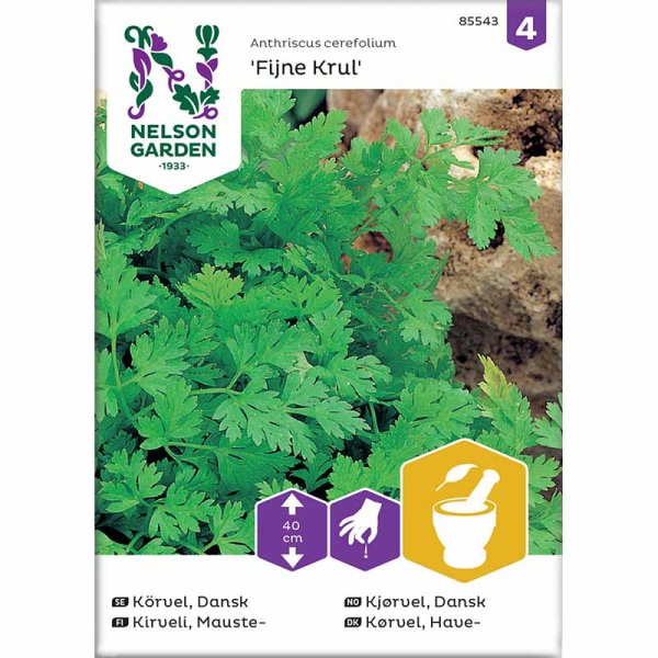 Zoom billede af Dansk kørvel 'Fijne Krul'