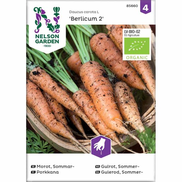 Zoom bilde av Sommergulrot 'Berlicum 2'