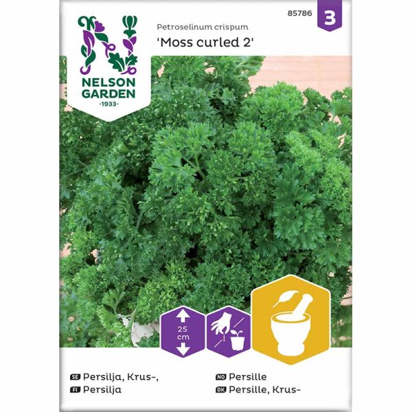Zoom billede af Persille 'Moss Curled 2'