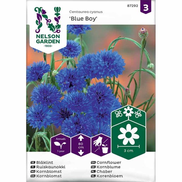 Zoom billede af Kornblomst 'Blue Boy'