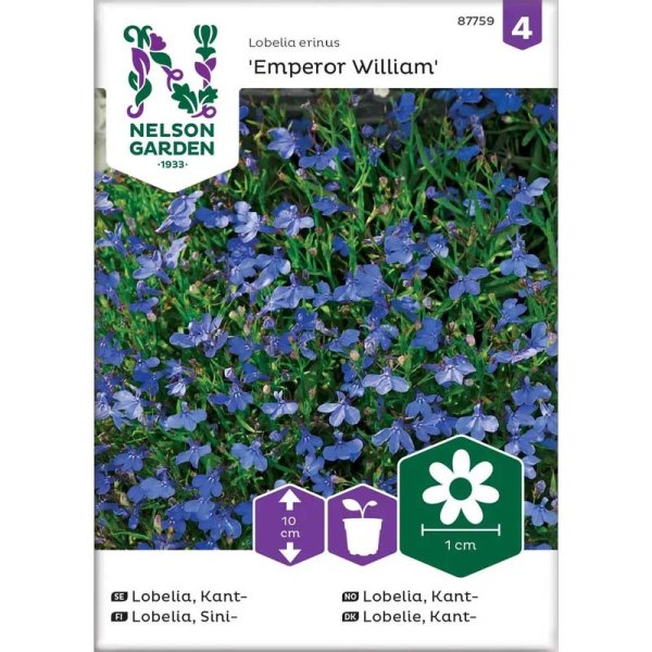 Zoom billede af Kantlobelia 'Emperor William'