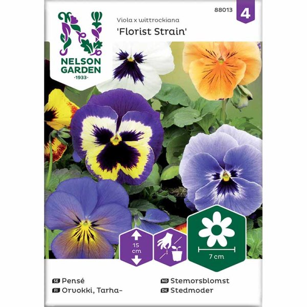 Zoom billede af Stedmoderblomst 'Florist Strain' mix