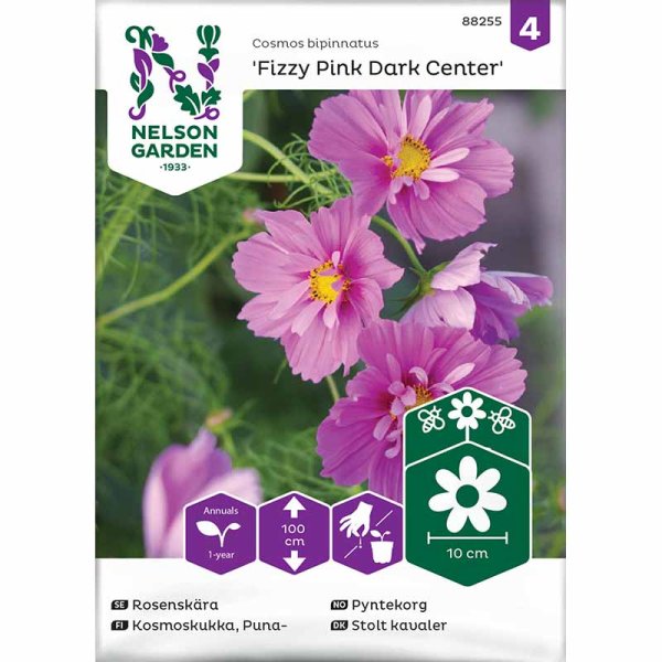 Zoom billede af Smykkekosmos 'Fizzy Pink Dark Center'