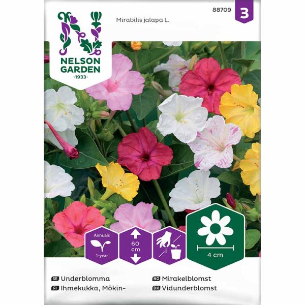 Zoom bilde av Underblomst miks