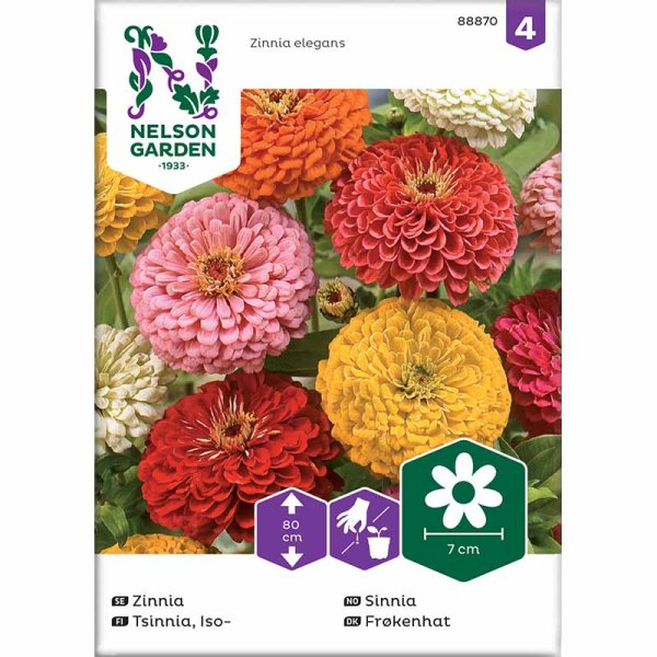 Zoom billede af Høj zinnia blandede farver