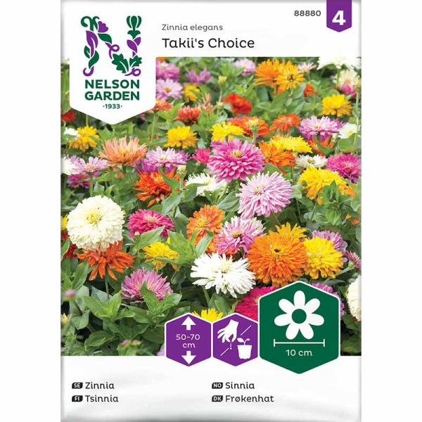 Zoom billede af Zinnia 'Takii´s Choice'