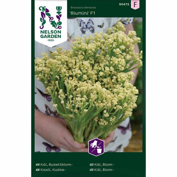 Zoom billede af Blomkål 'Blumini' F1