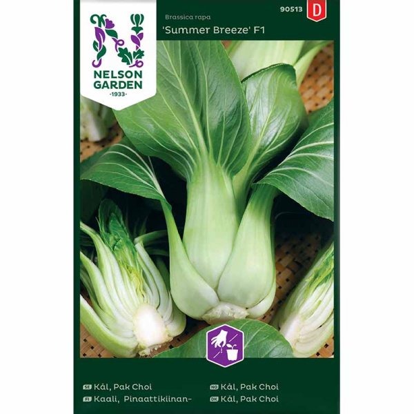 Zoom billede af Pak Choi 'Summer Breeze F1'