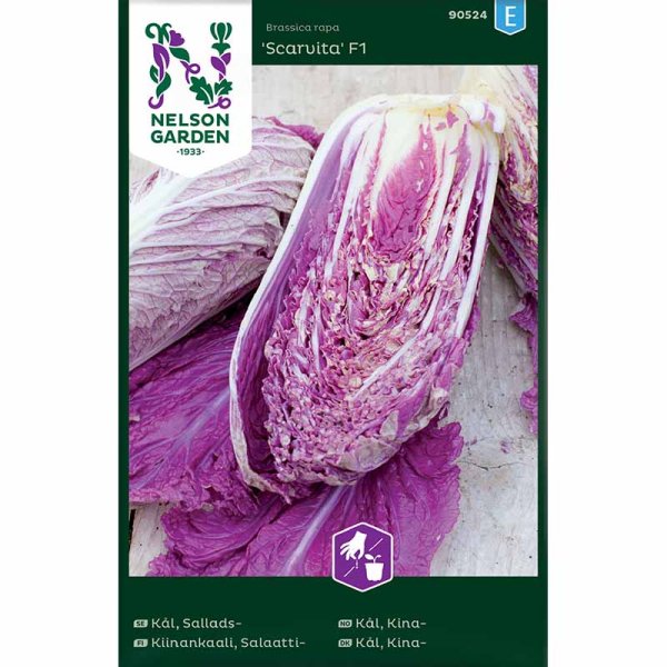Zoom billede af Salatkål 'Scarvita F1'