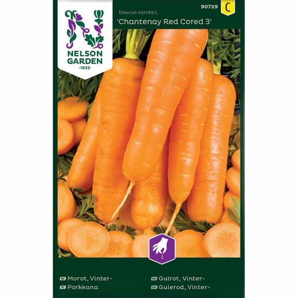 Zoom bilde av Vintergulrot 'Chantenay Red Cored 3'