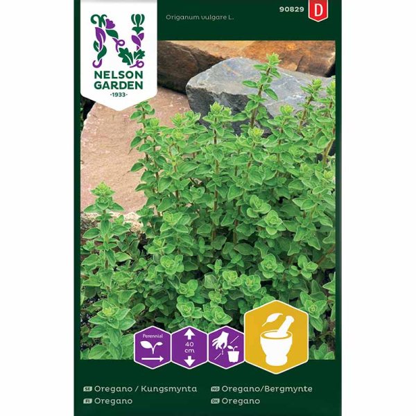 Zoom billede af Oregano / Oregano