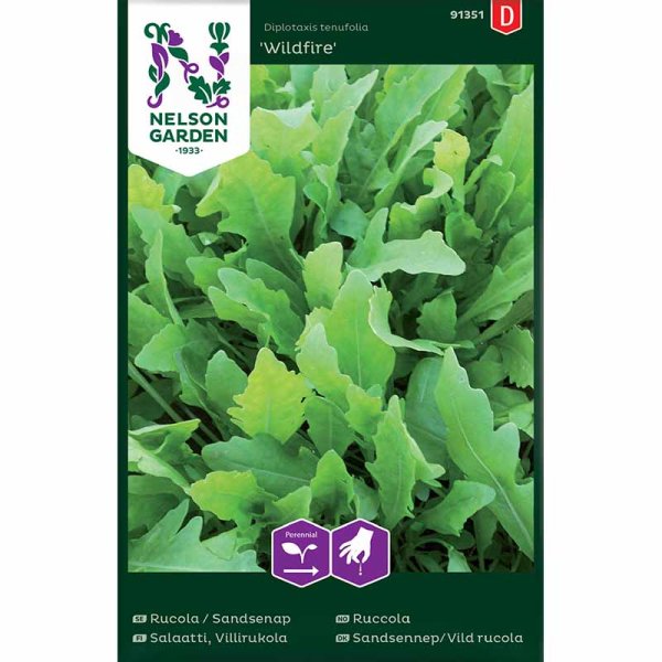 Zoom bilde av Sandsennep / Vild rucola 'Wildfire'