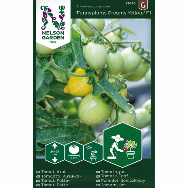 Zoom billede af Tomato 'Funnyplums Creamy Yellow' F1