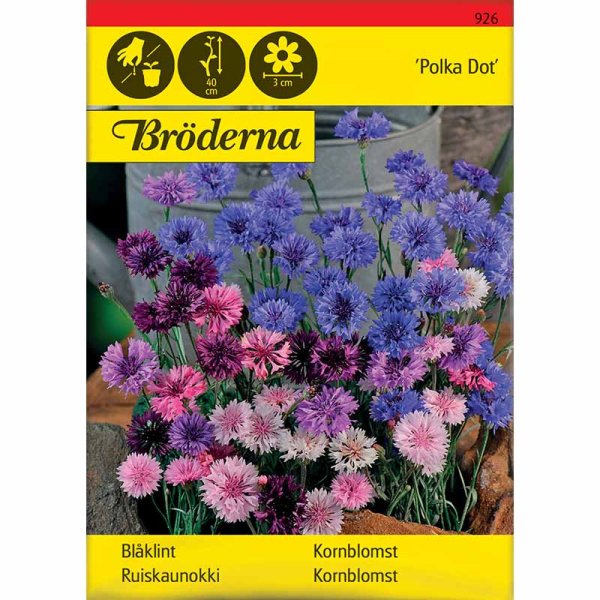 Zoom billede af Kornblomst 'Polka Dot'