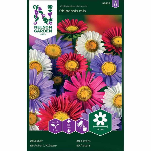 Zoom billede af Sommerasters 'Chinensis mix'