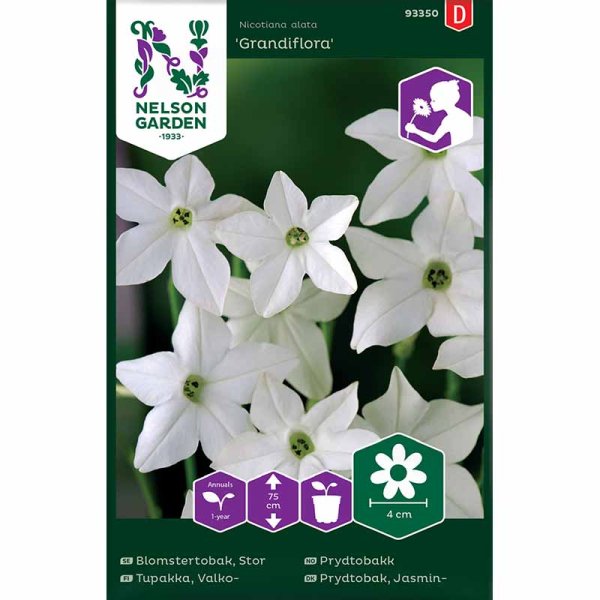 Zoom billede af Stor prydtobak 'Grandiflora'