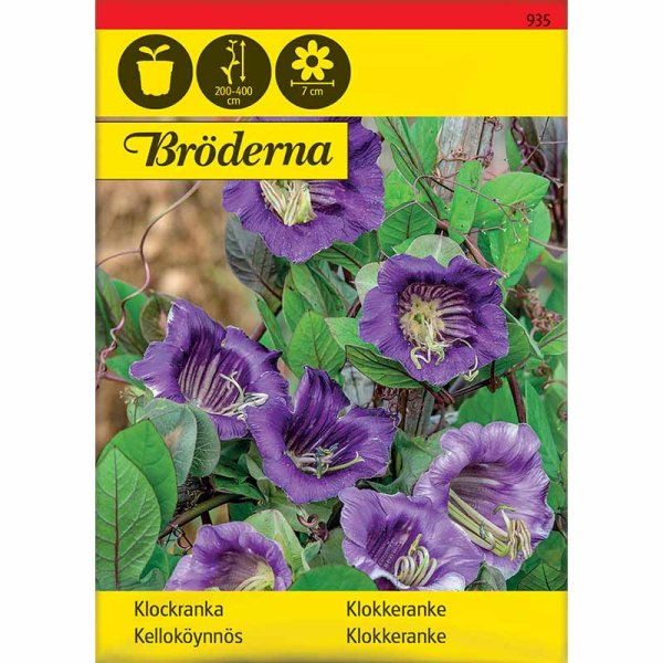 Zoom billede af Blå klokkeranke