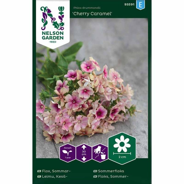 Zoom bilde av Sommerfloks 'Cherry Caramel'