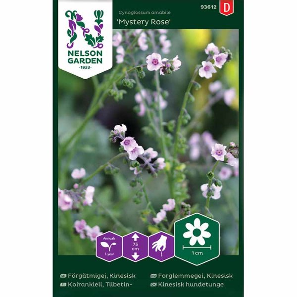 Zoom billede af Kinesisk Forglemmigej 'Mystery Rose'