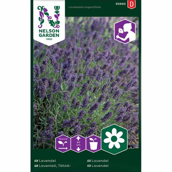 Zoom billede af Lavendel