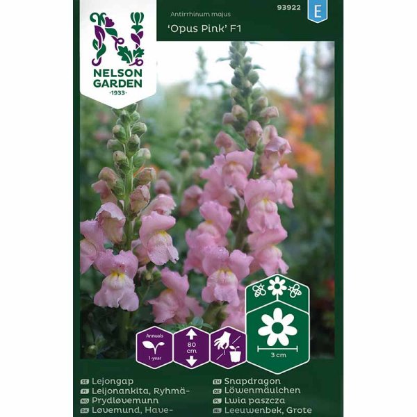 Zoom billede af Løvemund 'Opus Pink' F1