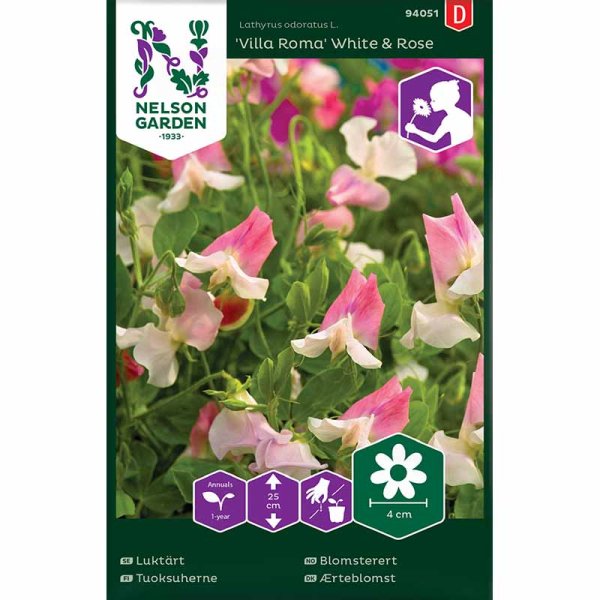 Zoom billede af Ært blomster 'Villa Roma White & Rose'