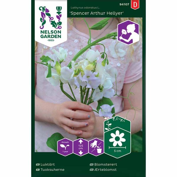 Zoom billede af Ært blomster 'Spencer Arthur Hellyer'