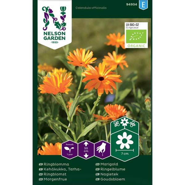 Zoom billede af Morgenfrue blandede farver Organic