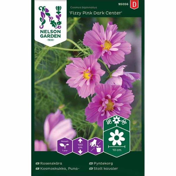 Zoom billede af Stolt Kavaler 'Fizzy Pink Dark Center'