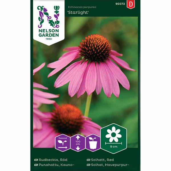 Zoom billede af Röd rudbeckia Starlight