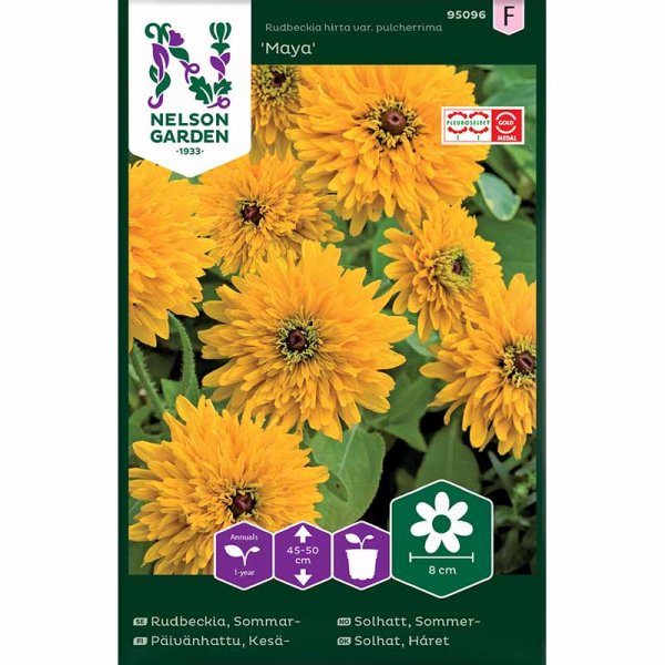 Zoom billede af Sommerrudbeckia 'Maya'