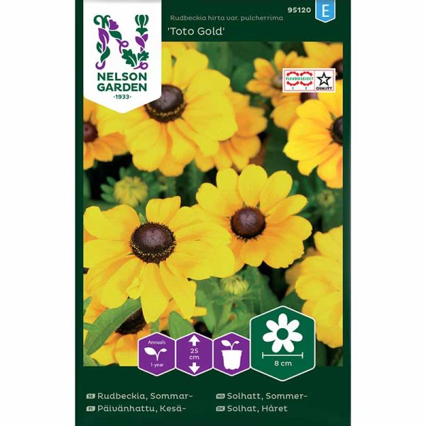 Zoom billede af Sommerrudbeckia 'Toto Gold'