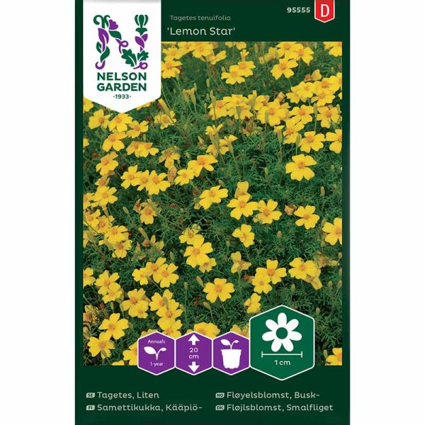 Zoom billede af Dværgtagetes 'Lemon Star'